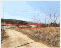  2025Ÿ��50958  �Ӿ߰��