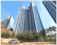  2025Ÿ51036 泲  ä 1152 ä쳻Ⱦ־Ʈ 104 4402ȣ    Ʈ