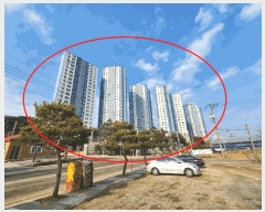  2025Ÿ51036 泲  ä 1152 ä쳻Ⱦ־Ʈ 104 4402ȣ    Ʈ