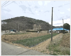  2025Ÿ��51075  �����