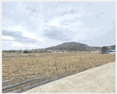  2025Ÿ��51075  �����