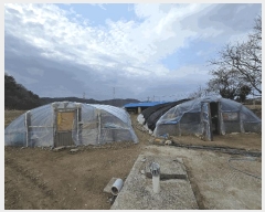  2025Ÿ��51075  �����