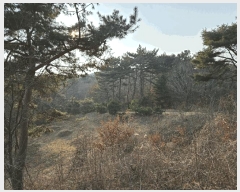  2025Ÿ��51131 �泲 �¾ȱ� ���ϸ� ��븮 560-3      ����(�Ӿ�)���