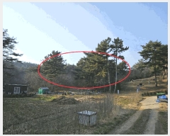  2025Ÿ��51131 �泲 �¾ȱ� ���ϸ� ��븮 560-3      ����(�Ӿ�)���