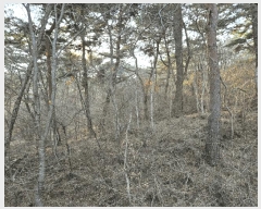  2025Ÿ��51131 �泲 �¾ȱ� ���ϸ� ��븮 560-3      ����(�Ӿ�)���