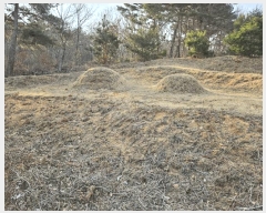  2025Ÿ��51131 �泲 �¾ȱ� ���ϸ� ��븮 560-3      ����(�Ӿ�)���