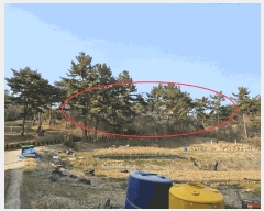  2025Ÿ��51131 �泲 �¾ȱ� ���ϸ� ��븮 560-3      ����(�Ӿ�)���