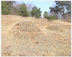  2025Ÿ��51131 �泲 �¾ȱ� ���ϸ� ��븮 560-3      ����(�Ӿ�)���