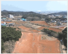  2025Ÿ51142 泲    975      (1)