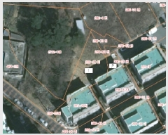  2025Ÿ51142 泲    975      (1)