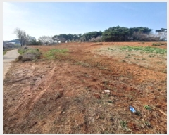  2025Ÿ51142 泲    975      (1)