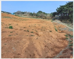  2025Ÿ51142 泲    975      (1)