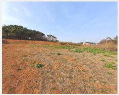  2025Ÿ51142 泲    975      (1)