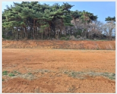  2025Ÿ51142 泲   286-28       (Ӿ)