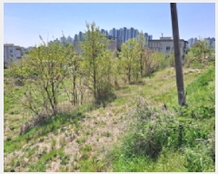  2025Ÿ��51236 �泲 ������ �۾��� ���и� 586-1      ����(��1)���