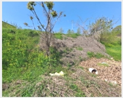  2025Ÿ��51236 �泲 ������ �۾��� ���и� 586-1      ����(��1)���