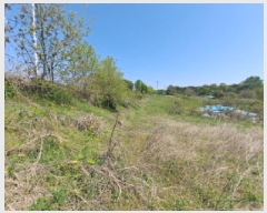  2025Ÿ��51236 �泲 ������ �۾��� ���и� 586-1      ����(��1)���