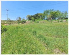  2025Ÿ��51236 �泲 ������ �۾��� ���и� 586-1      ����(��1)���