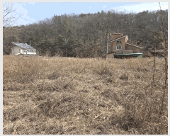  2025Ÿ��564 �뱸 ���� ��ȵ� 642       ����(��)���