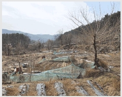  2025Ÿ��564 �뱸 ���� ��ȵ� 642       ����(��)���