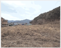  2025Ÿ��564 �뱸 ���� ��ȵ� 642       ����(��)���