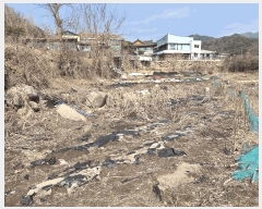  2025Ÿ��564 �뱸 ���� ��ȵ� 642       ����(��)���