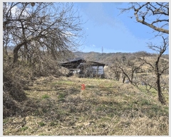  2025Ÿ628  û   538      ()