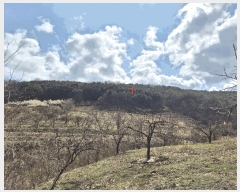  2025Ÿ628  û   538      ()