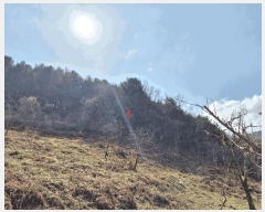  2025Ÿ628  û   538      ()