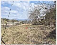  2025Ÿ628  û   538      ()