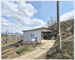  2025Ÿ628  û   538      ()