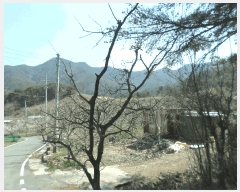  2025Ÿ��672  ����