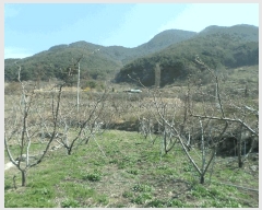  2025Ÿ��672  ����