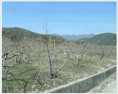  2025Ÿ��672  ����