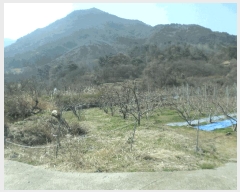  2025Ÿ��672  ����