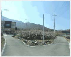  2025Ÿ��672  ����