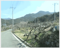  2025Ÿ��672  ����