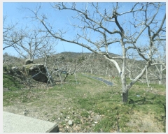  2025Ÿ��672  ����