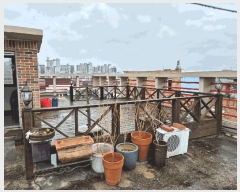  2025Ÿ��715 �뱸 ������ ���̵� 959-14       �ٰ������ð��