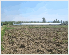  2025Ÿ��738 �뱸 ���� �纹�� 786       ����(��)���