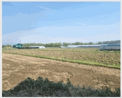  2025Ÿ��738 �뱸 ���� �纹�� 786       ����(��)���