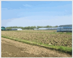  2025Ÿ��738 �뱸 ���� �纹�� 786       ����(��)���