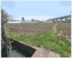  2025Ÿ��738 �뱸 ���� �纹�� 786       ����(��)���