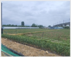  2025Ÿ��738 �뱸 ���� �纹�� 786       ����(��)���