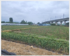  2025Ÿ��738 �뱸 ���� �纹�� 786       ����(��)���