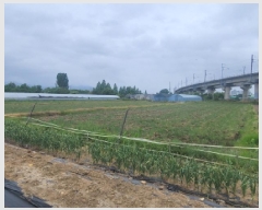  2025Ÿ��738 �뱸 ���� �纹�� 786       ����(��)���