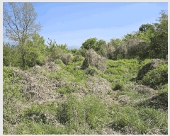  2025Ÿ��749 ��� û���� ������ ��� 638-1      ����(������)���