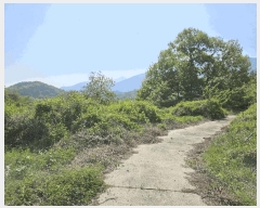  2025Ÿ��749 ��� û���� ������ ��� 638-1      ����(������)���