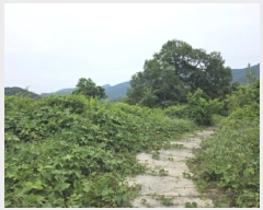  2025Ÿ��749 ��� û���� ������ ��� 638-1      ����(������)���