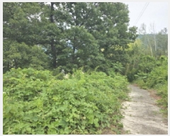  2025Ÿ��749 ��� û���� ������ ��� 638-1      ����(������)���